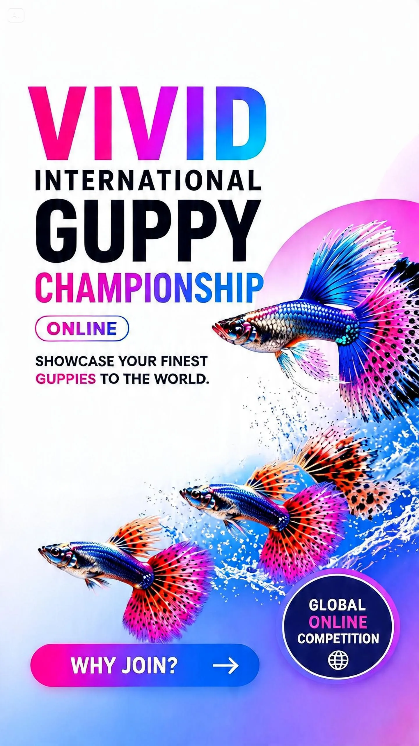 VIVID International Guppy Championship Online — Global Online Competition. Showcase your finest guppies to the world.