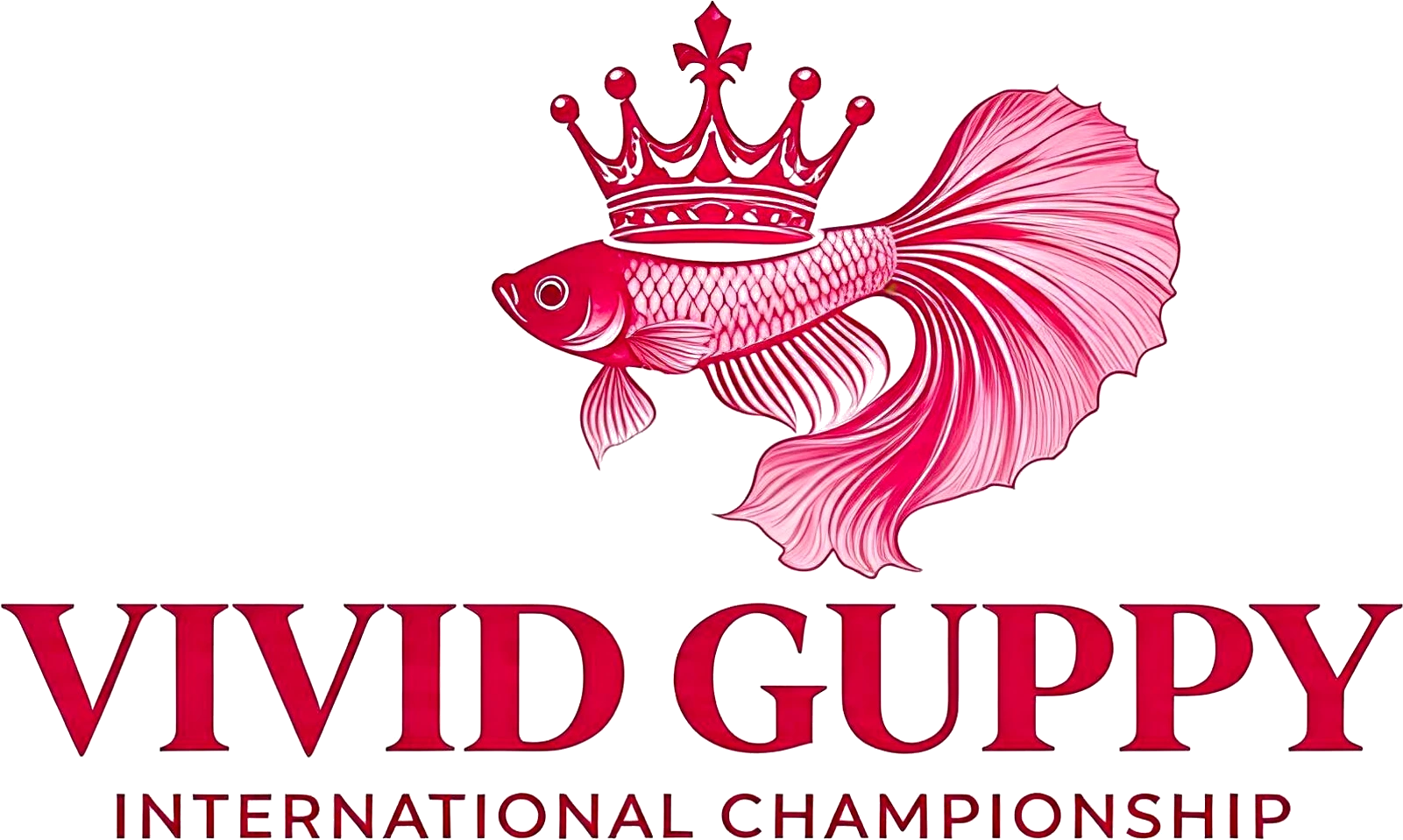 VIVID GUPPY International Championship